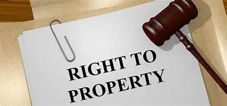 7 Sub-Rights under the Right to Property: Recent Constitutional Rights Reforms