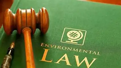 Decoding the Foundational Principles of Environmental Law