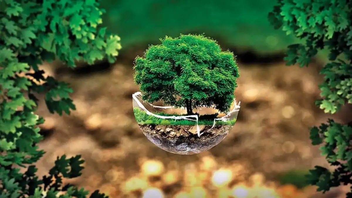 ENVIRONMENT LAW -ROLE OF M.C MEHTA CASE IN PROTECTION OF ENVIRONMENT POLLUTION