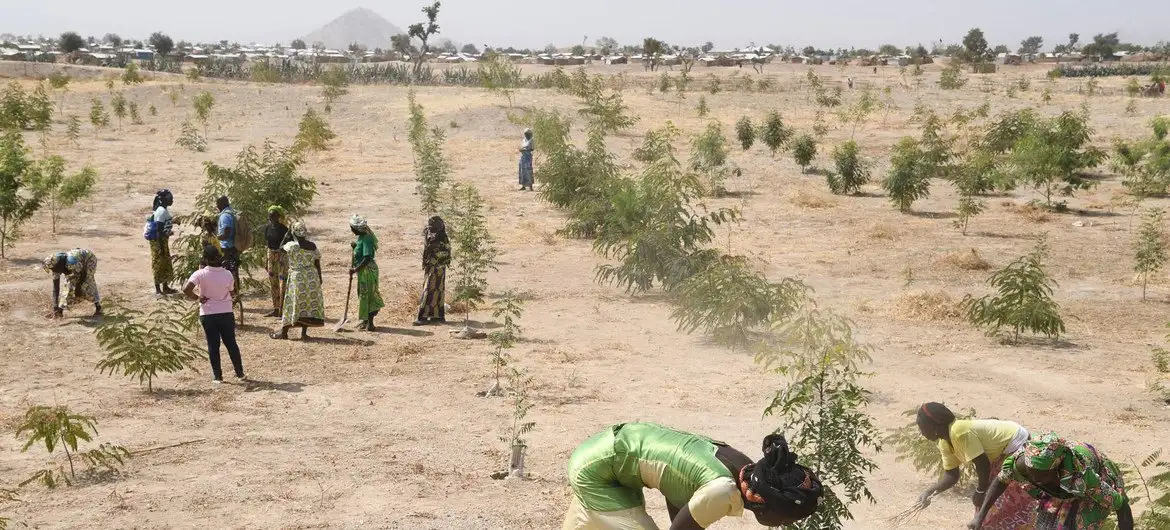 Environmental Refugees: Linking Climate Change and Humanitarian Crisis