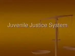 Juvenile Justice System and Rehabilitation