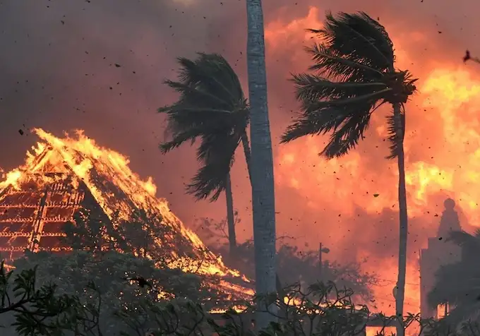 Maui Wildfires: Hawaii declares state of emergency as devastating fires sweep acrossislands