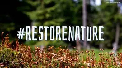 NATURE RESTORATION LAW: AN EU INITIATIVE TO BRING BACK BIODIVERSITY