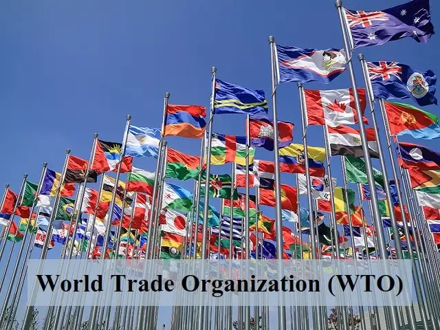 Many colorful international flags waving on poles, blue sky background. Text reads