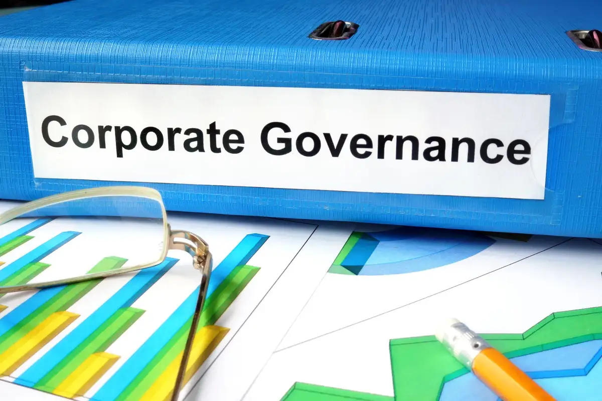 Challenges and Adaptation of Corporate Governance Models for Startup Companies