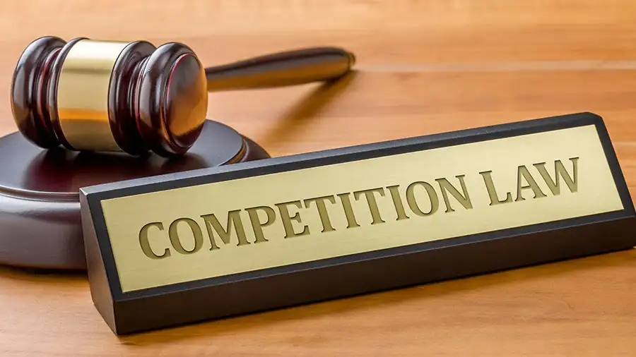 Competition Law and Developing Economies: A Complete Analysis