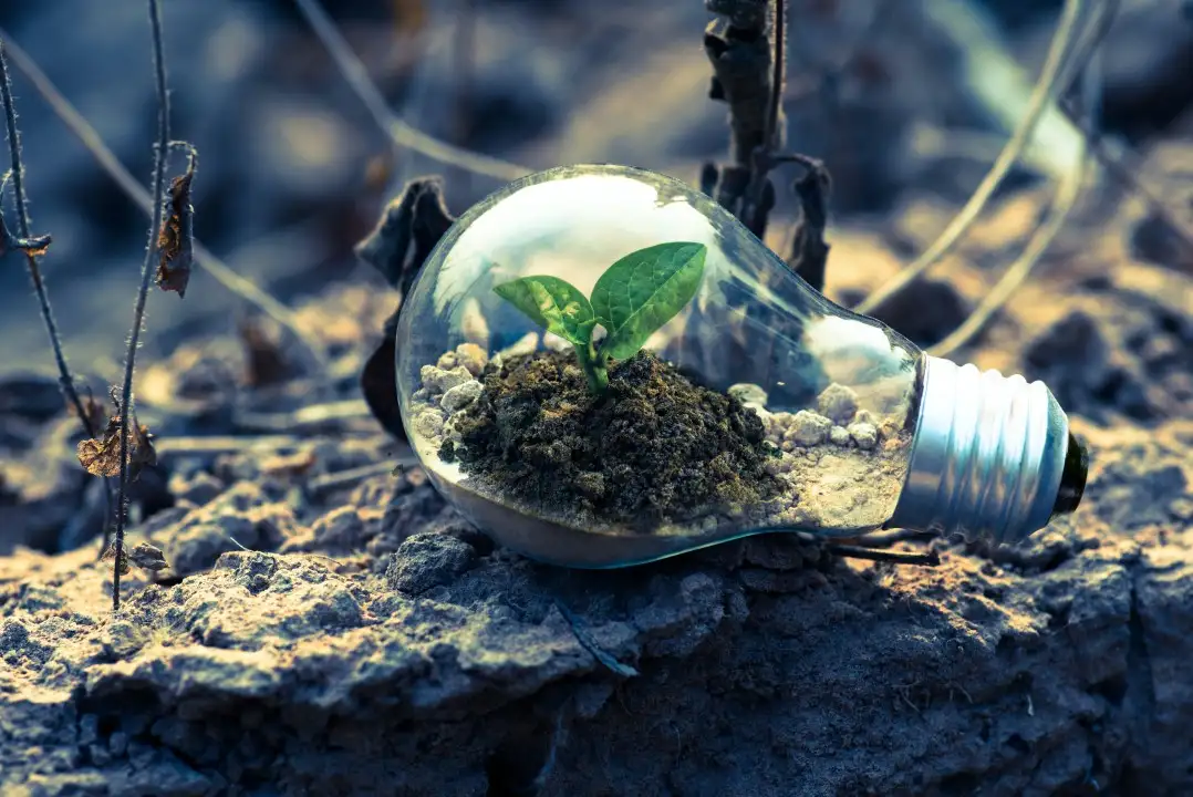 CORPORATE ENVIRONMENTAL RESPONSIBILITY IN INDIA: CHARTING A PATH TO SUSTAINABLE GROWTH