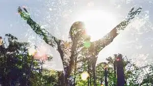 ECOLOGICAL PERSONHOOD: LEGAL RIGHTS FOR NATURAL ENTITIES