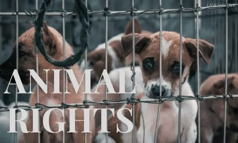 EMERGING JURISPRUDENCE ON ANIMAL RIGHTS