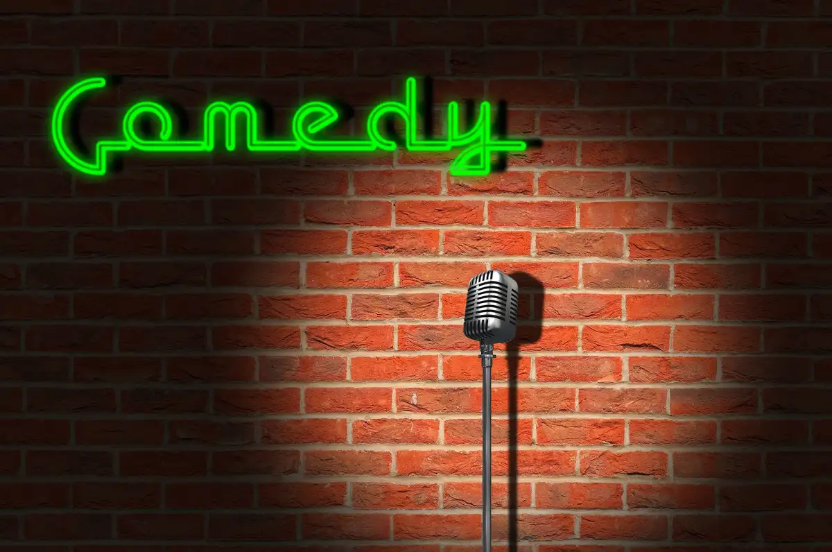 Humor or Harm? Legal perspective of Stand-Up Comedy
