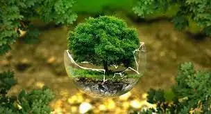 ISSUES AND CHALLENGES RELATED TO ENVIRONMENTAL CRIME INVESTIGATION AND GREEN CRIMINOLOGY