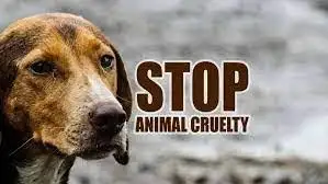KEY FEATURES OF PREVENTION OF CRUELTY TO ANIMAL (AMENDMENT) BILL, 2022