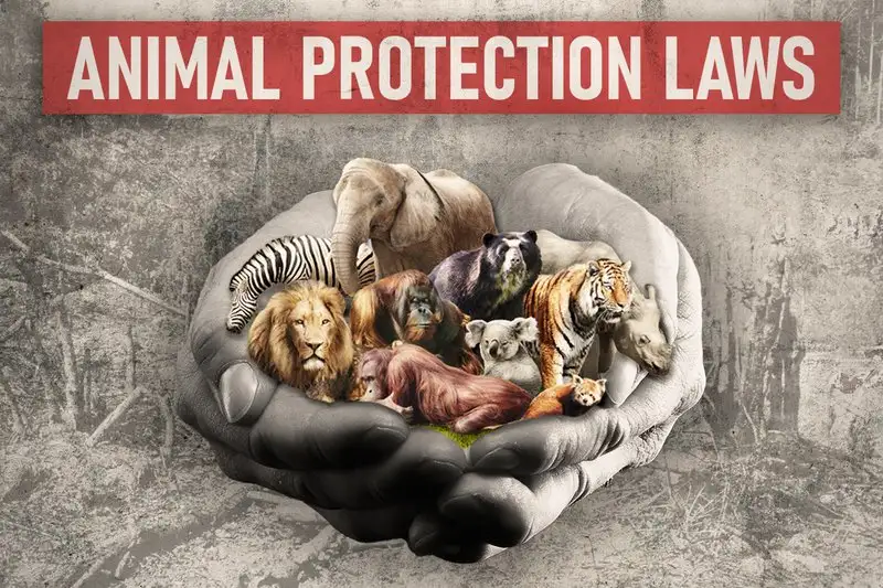 The Injustice of Animal Laws: A Global Perspective