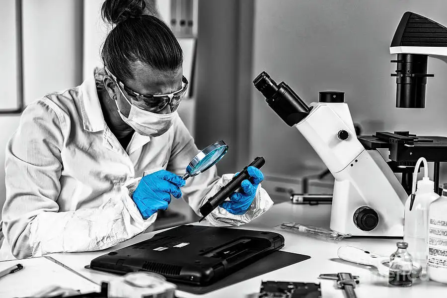 THE USE OF VISUALIZATION IN FORENSIC STUDY