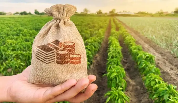 UNDERSTANDING THE TAXATION OF AGRICULTURAL INCOME IN INDIA