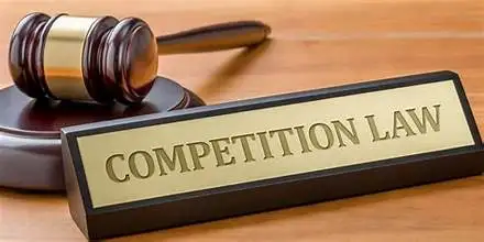 WTO and Competition Law: Interconnected